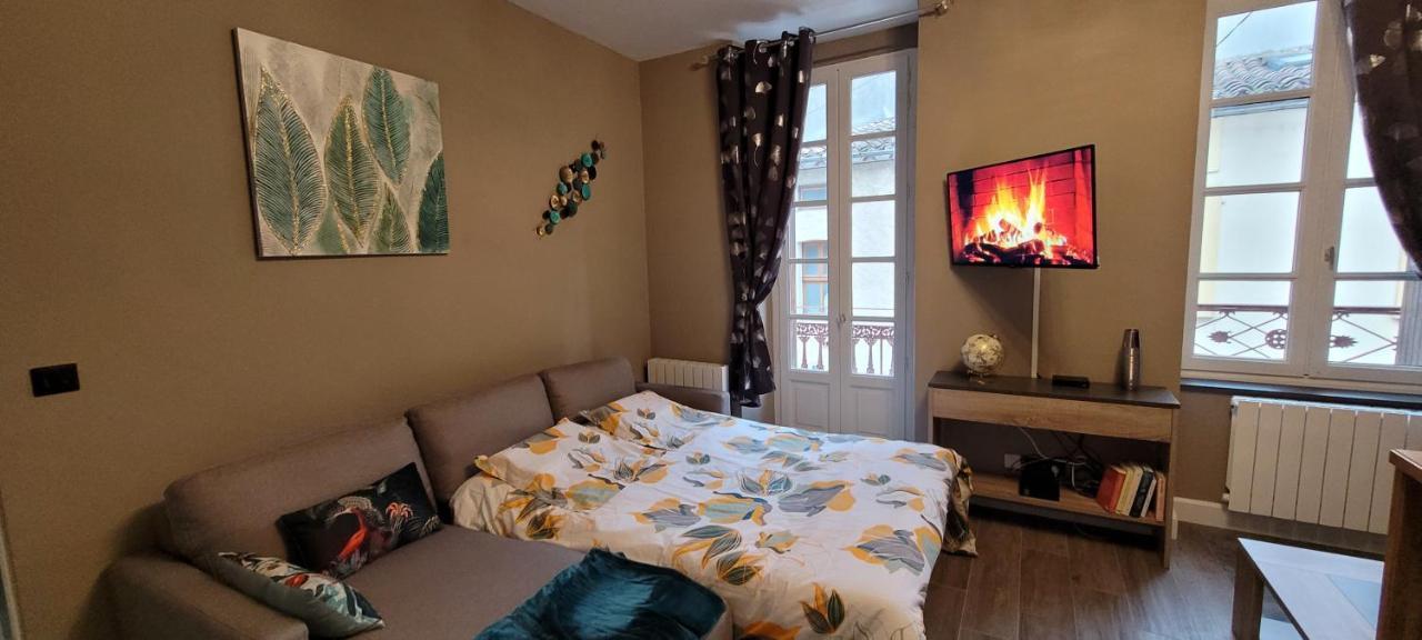 Appartement Le Moulin Vert Carcassonne Bagian luar foto