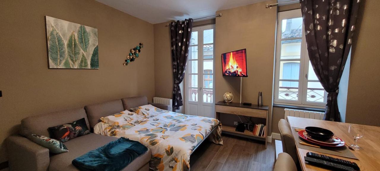 Appartement Le Moulin Vert Carcassonne Bagian luar foto